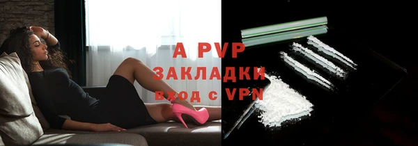 apvp Горняк